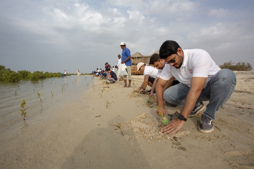 Dulsco Group and clients root for climate change action in mangrove tree plantation drive